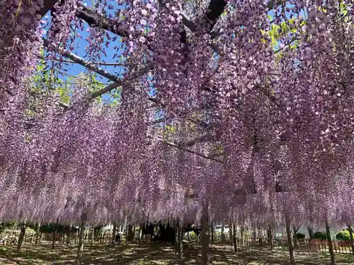 玉敷神社の庭園