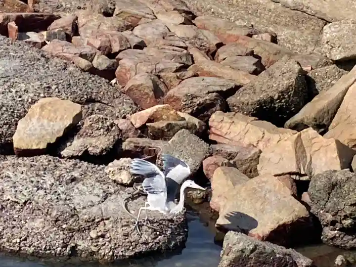 住吉神社(兵庫県)