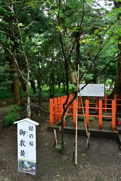 息栖神社(茨城県)