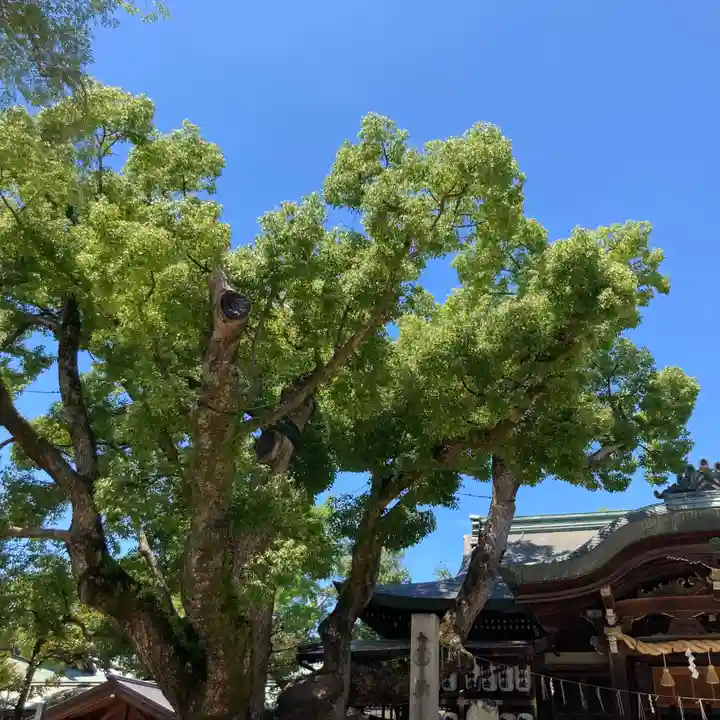 石切劔箭神社の自然