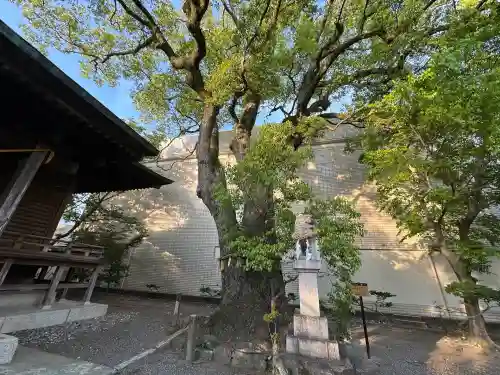 貴布禰神社(静岡県)