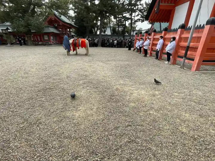 住吉大社(大阪府)