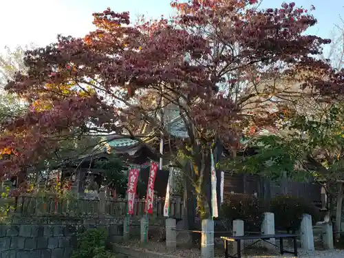  高鳥天満宮の自然