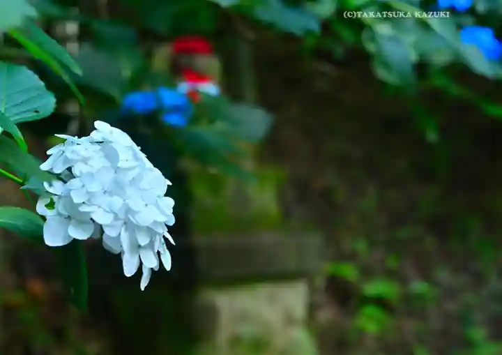 高幡不動尊 金剛寺(東京都)