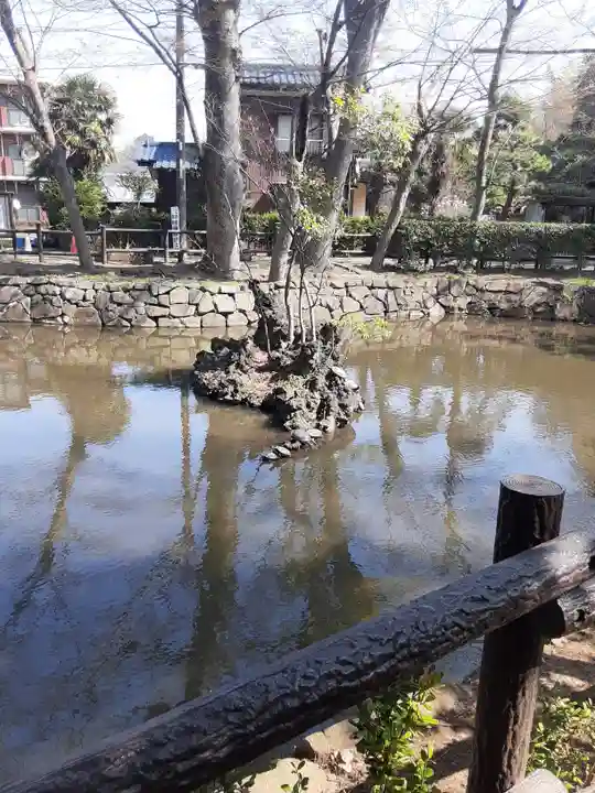 師岡熊野神社(神奈川県)