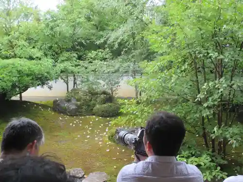 東林院の庭園