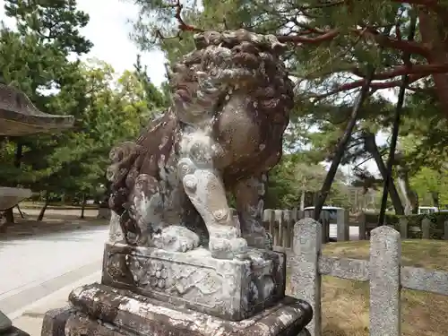 北野天満宮の狛犬