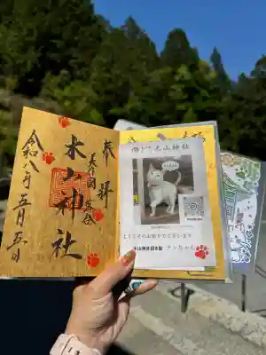 木山神社の{uncategorized: "未分類", other: "その他", undefined: "問題あり", building: "その他建物", grave: "お墓", sacred_gate: "鳥居", guardian: "狛犬", statue: "像", buddha: "仏像", history: "歴史", nature: "自然", garden: "庭園", animal: "動物", pagoda: "塔", temizu: "手水舎", mountain_gate: "山門・神門", sanctuary: "本殿・本堂", subordinate: "末社・摂社", art: "芸術", scenery: "景色", jizo: "地蔵", ema: "絵馬", goshuin: "御朱印", omikuji: "おみくじ", items: "授与品その他", amulet: "お守り", goshuincho: "御朱印帳", eats: "食事", festival: "お祭り", votive_dance: "神楽", shichigosan: "七五三参", wedding: "結婚式", experience: "体験その他", initially: "初詣", around: "周辺", anti_infection: "感染症対策"}