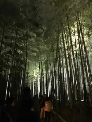 高台寺（高台寿聖禅寺・高臺寺）(京都府)