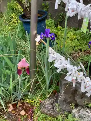 諏訪神社の自然