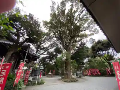 八雲神社（鎌倉・大町）のその他建物