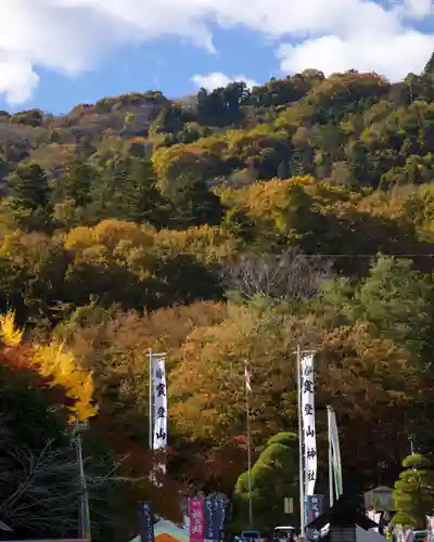 宝登山神社(埼玉県)