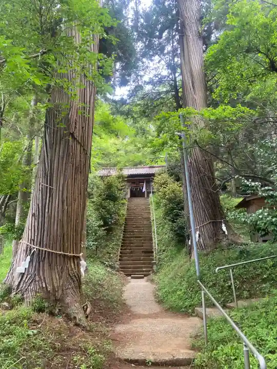 八幡神社の{uncategorized: "未分類", other: "その他", undefined: "問題あり", building: "その他建物", grave: "お墓", sacred_gate: "鳥居", guardian: "狛犬", statue: "像", buddha: "仏像", history: "歴史", nature: "自然", garden: "庭園", animal: "動物", pagoda: "塔", temizu: "手水舎", mountain_gate: "山門・神門", sanctuary: "本殿・本堂", subordinate: "末社・摂社", art: "芸術", scenery: "景色", jizo: "地蔵", ema: "絵馬", goshuin: "御朱印", omikuji: "おみくじ", items: "授与品その他", amulet: "お守り", goshuincho: "御朱印帳", eats: "食事", festival: "お祭り", votive_dance: "神楽", shichigosan: "七五三参", wedding: "結婚式", experience: "体験その他", initially: "初詣", around: "周辺", anti_infection: "感染症対策"}