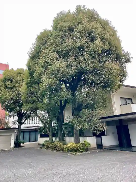蓮乗寺(東京都)