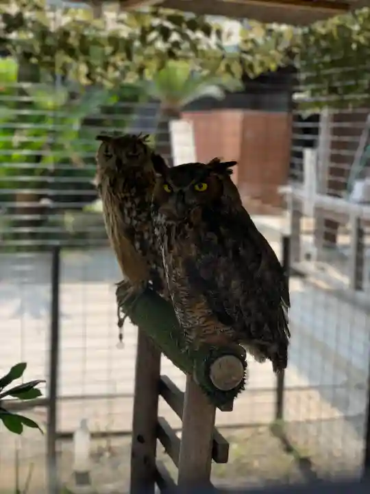 宮地嶽神社(福岡県)