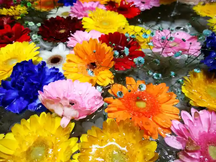 札幌諏訪神社の手水舎