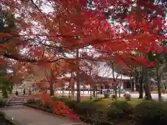 醍醐寺(京都府)