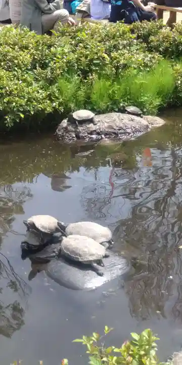 根津神社(東京都)