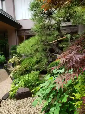 東京大神宮(東京都)