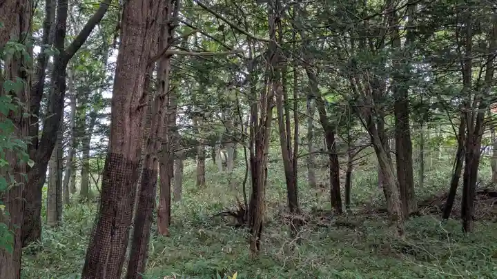 十勝神社の自然