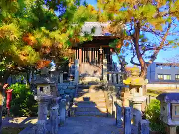 白鬚神社(上中町一色)の本殿・本堂