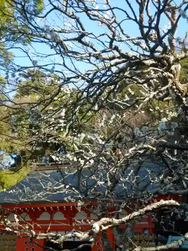 荏柄天神社の自然
