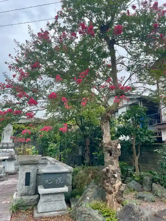 惣善寺(福島県)