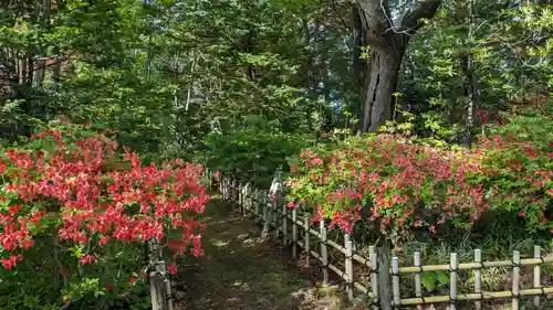 高台寺の庭園