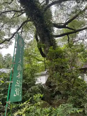賀茂神社(愛知県)