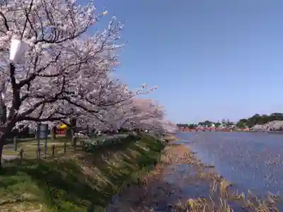 伊部波島大神(新潟県)