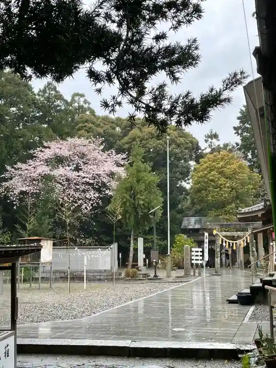 神明神社(相差町)の{uncategorized: "未分類", other: "その他", undefined: "問題あり", building: "その他建物", grave: "お墓", sacred_gate: "鳥居", guardian: "狛犬", statue: "像", buddha: "仏像", history: "歴史", nature: "自然", garden: "庭園", animal: "動物", pagoda: "塔", temizu: "手水舎", mountain_gate: "山門・神門", sanctuary: "本殿・本堂", subordinate: "末社・摂社", art: "芸術", scenery: "景色", jizo: "地蔵", ema: "絵馬", goshuin: "御朱印", omikuji: "おみくじ", items: "授与品その他", amulet: "お守り", goshuincho: "御朱印帳", eats: "食事", festival: "お祭り", votive_dance: "神楽", shichigosan: "七五三参", wedding: "結婚式", experience: "体験その他", initially: "初詣", around: "周辺", anti_infection: "感染症対策"}