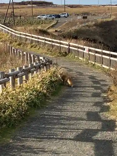 霧多布神社(北海道)