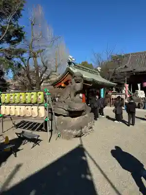 浅草神社の狛犬