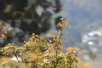 国宝 大法寺(長野県)