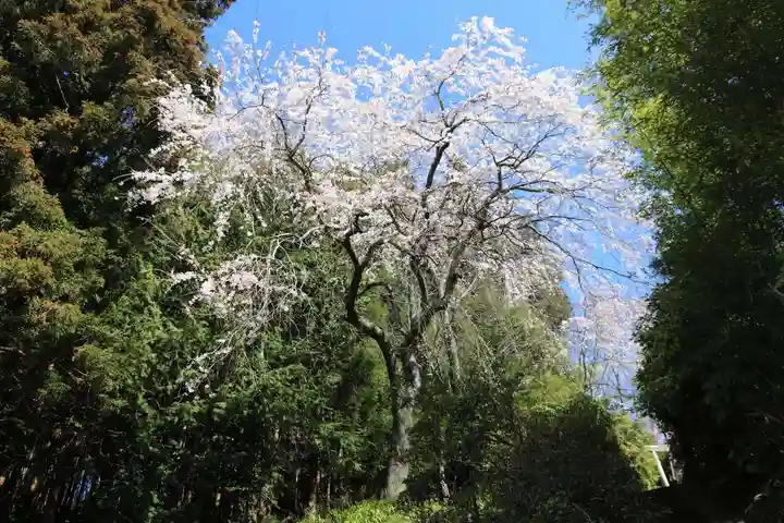 大六天麻王神社の庭園