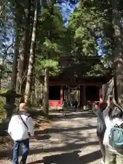 戸隠神社奥社(長野県)