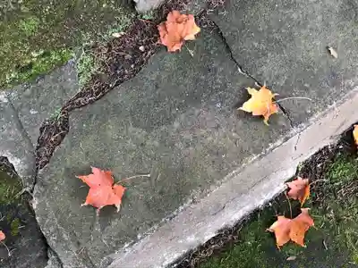 京極八幡神社のその他建物
