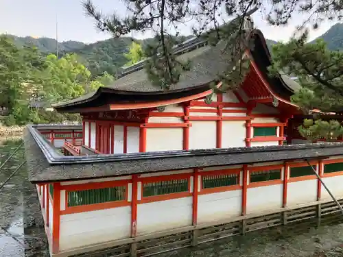 厳島神社(広島県)