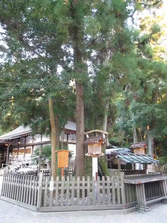 大神神社の自然