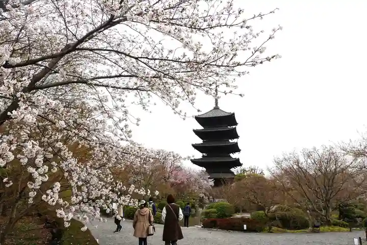 東寺(教王護国寺)(京都府)