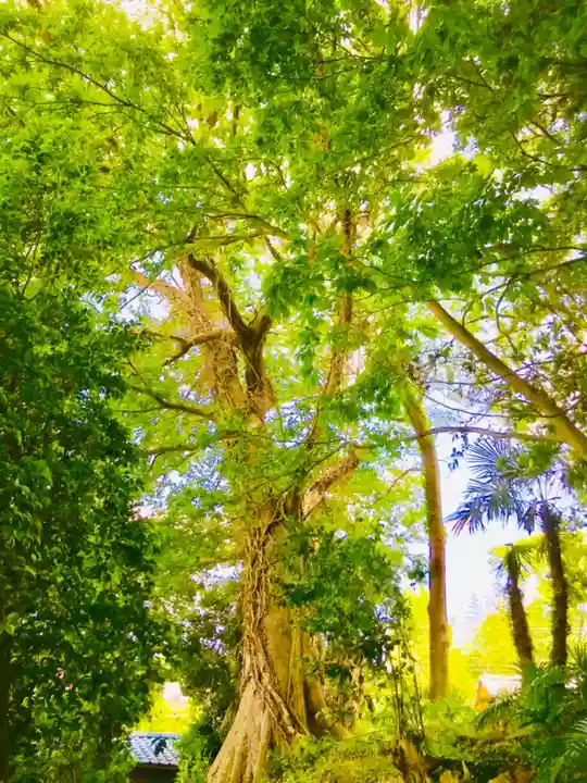愛宕神社の庭園