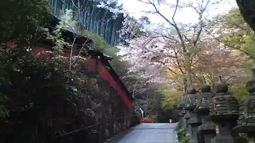 南蔵院(福岡県)