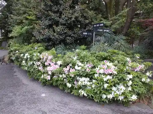 阿佐ヶ谷神明宮(東京都)