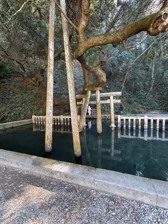 奥宮(鹿島神宮摂社)(茨城県)