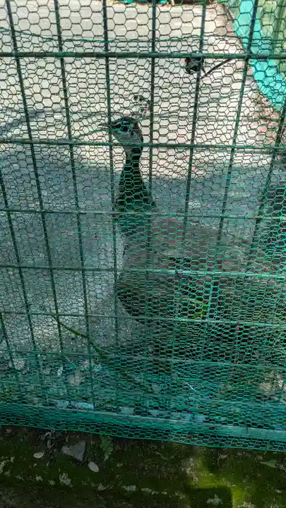 園城寺(三井寺)(滋賀県)