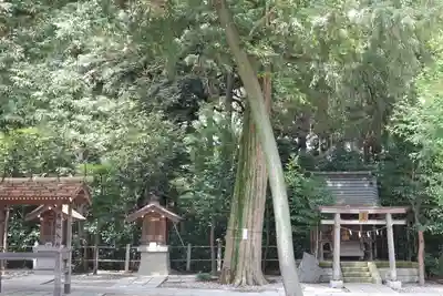 越ヶ谷久伊豆神社(埼玉県)