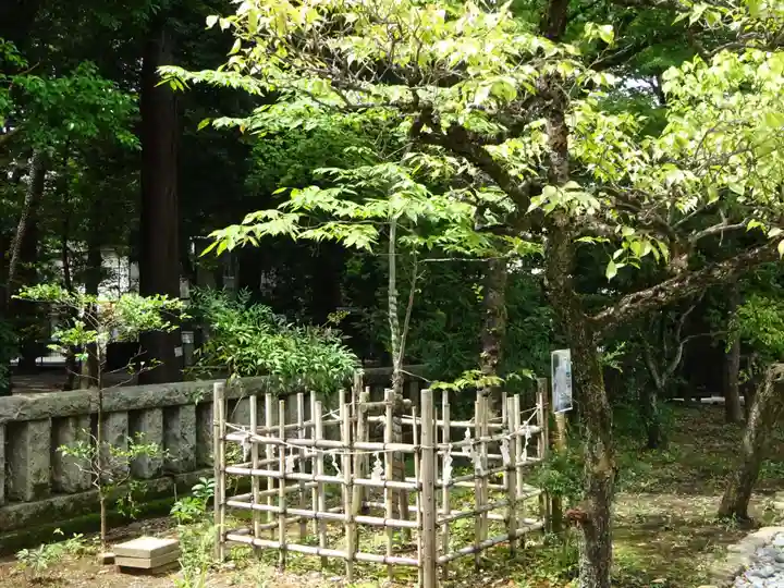 布多天神社の自然
