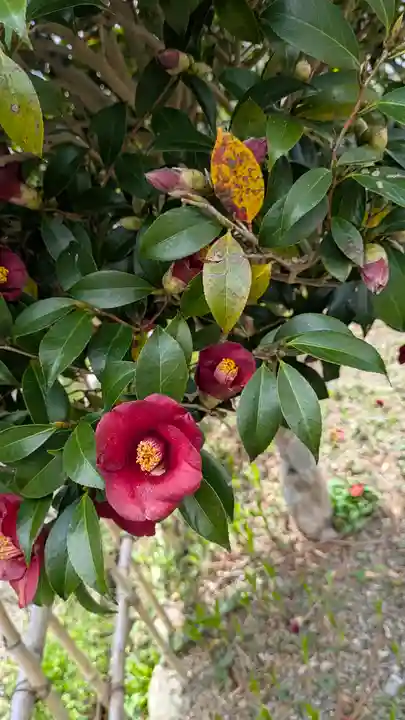 惠心院(京都府)