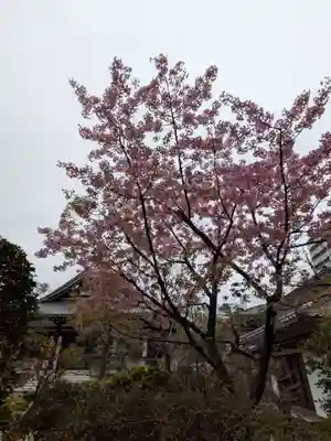 源空寺(東京都)