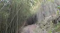 愛宕神社の自然